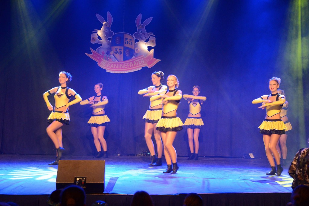 ../Images/Dansmarieke festival 2015 191.jpg